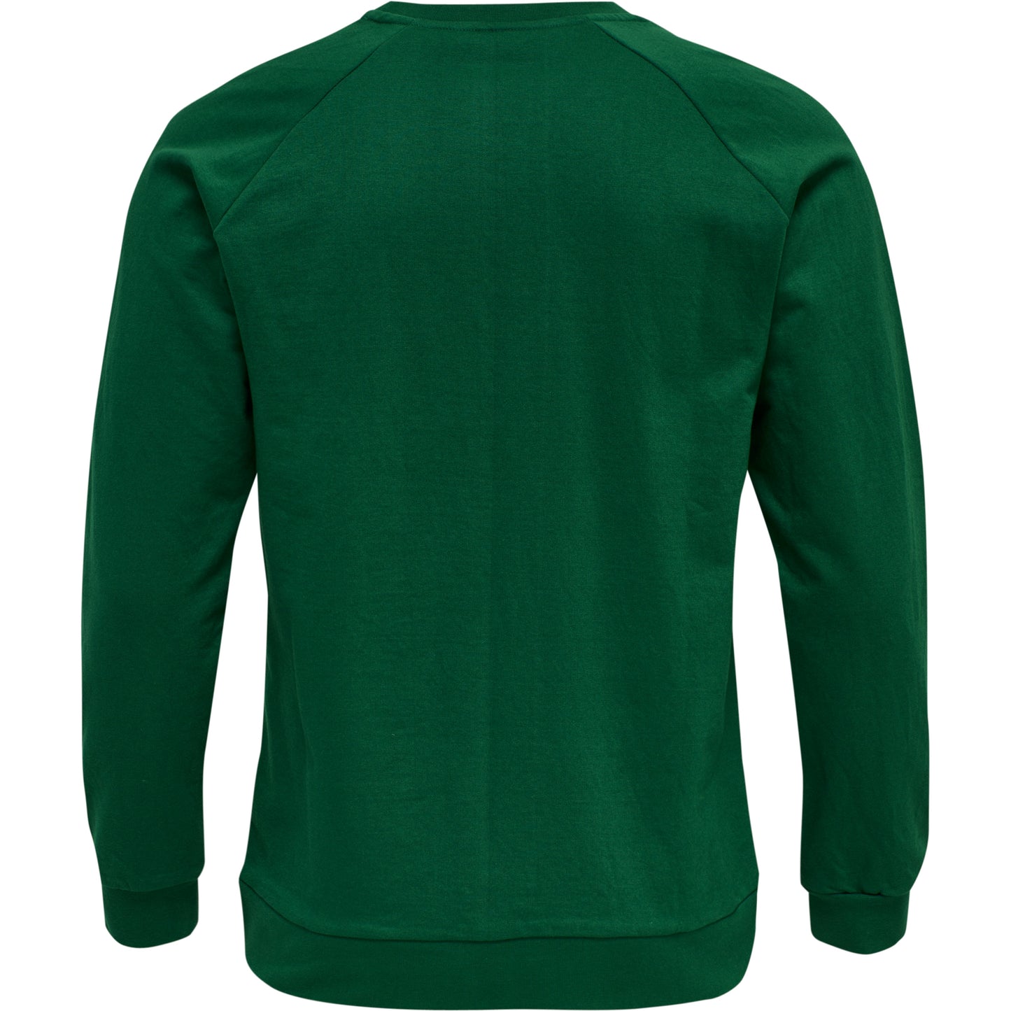 6140-EVERGREEN