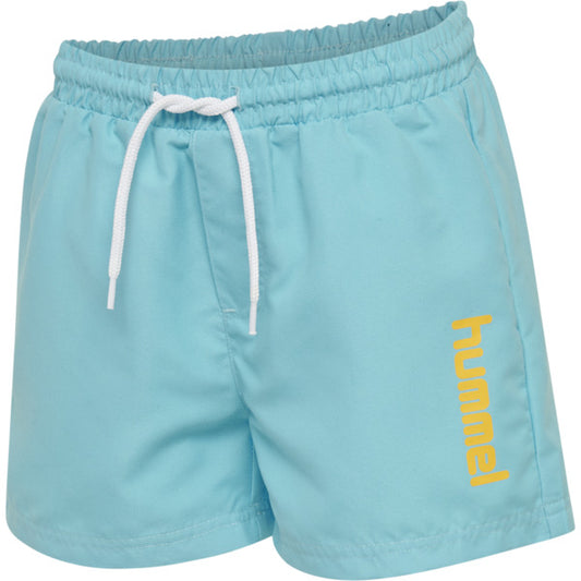 7966-BACHELOR BUTTON