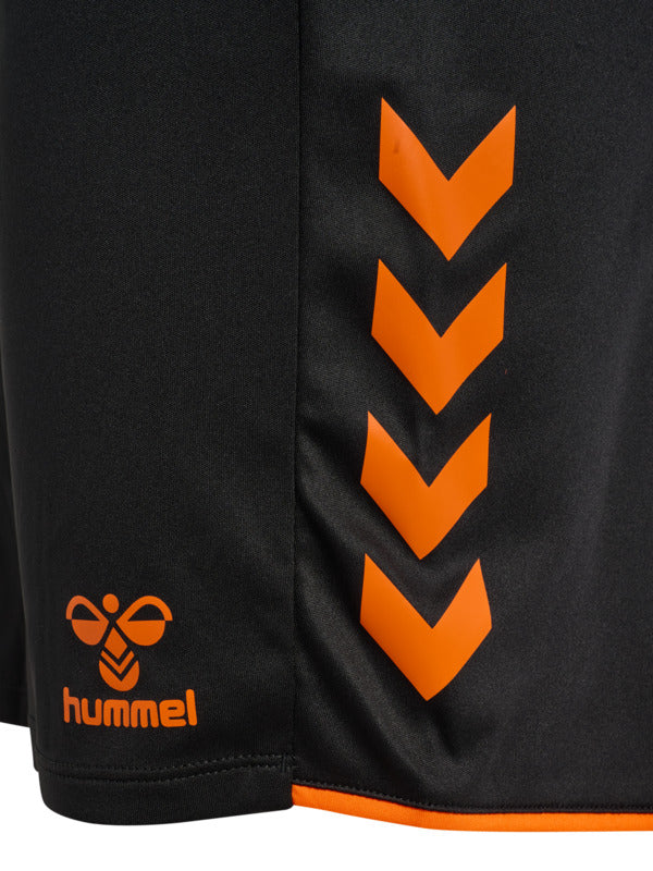 2461-BLACK/ORANGE TIGER