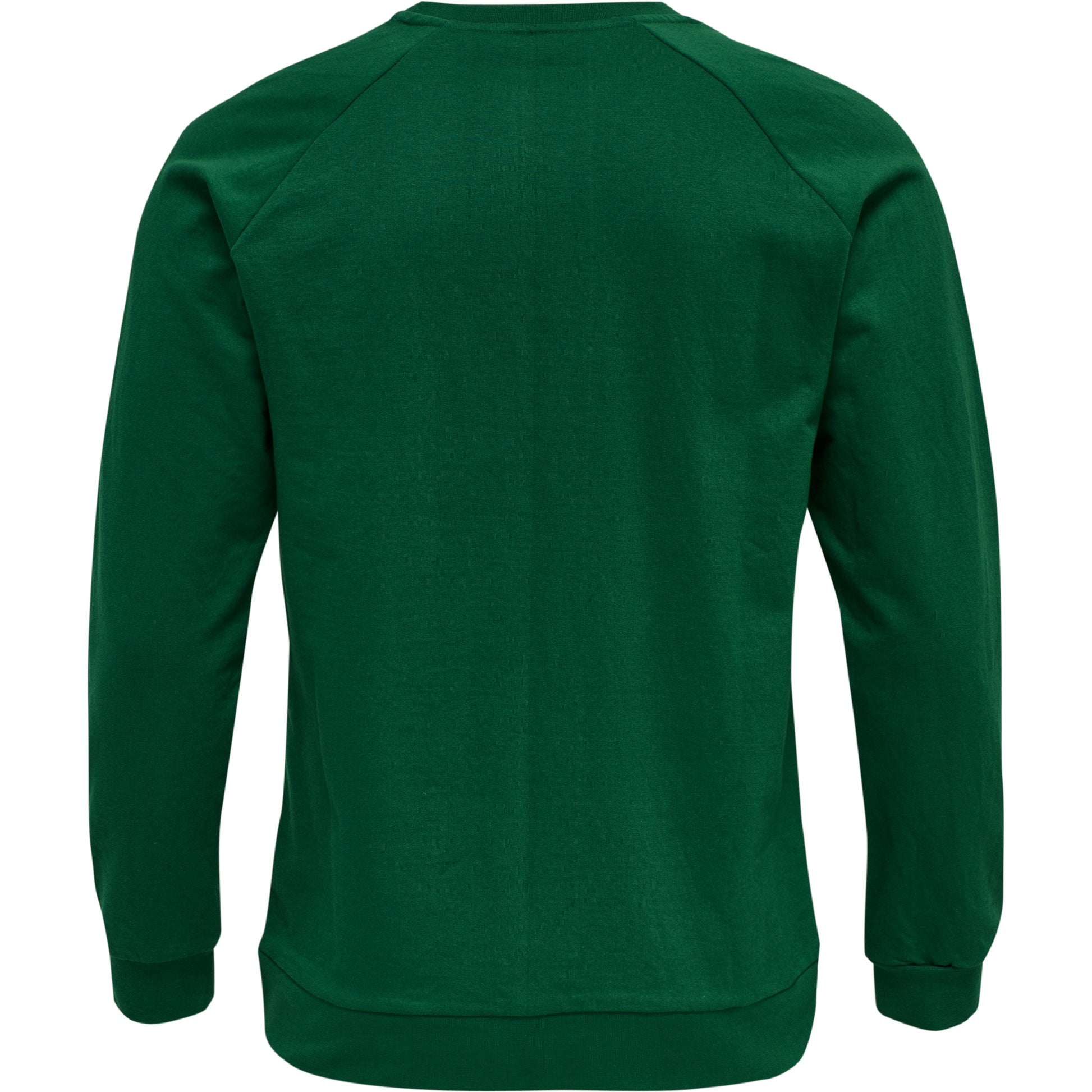 6140-EVERGREEN