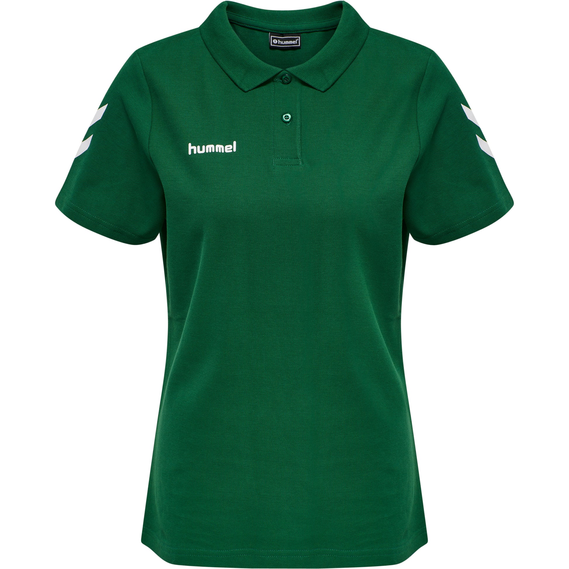 6140-EVERGREEN