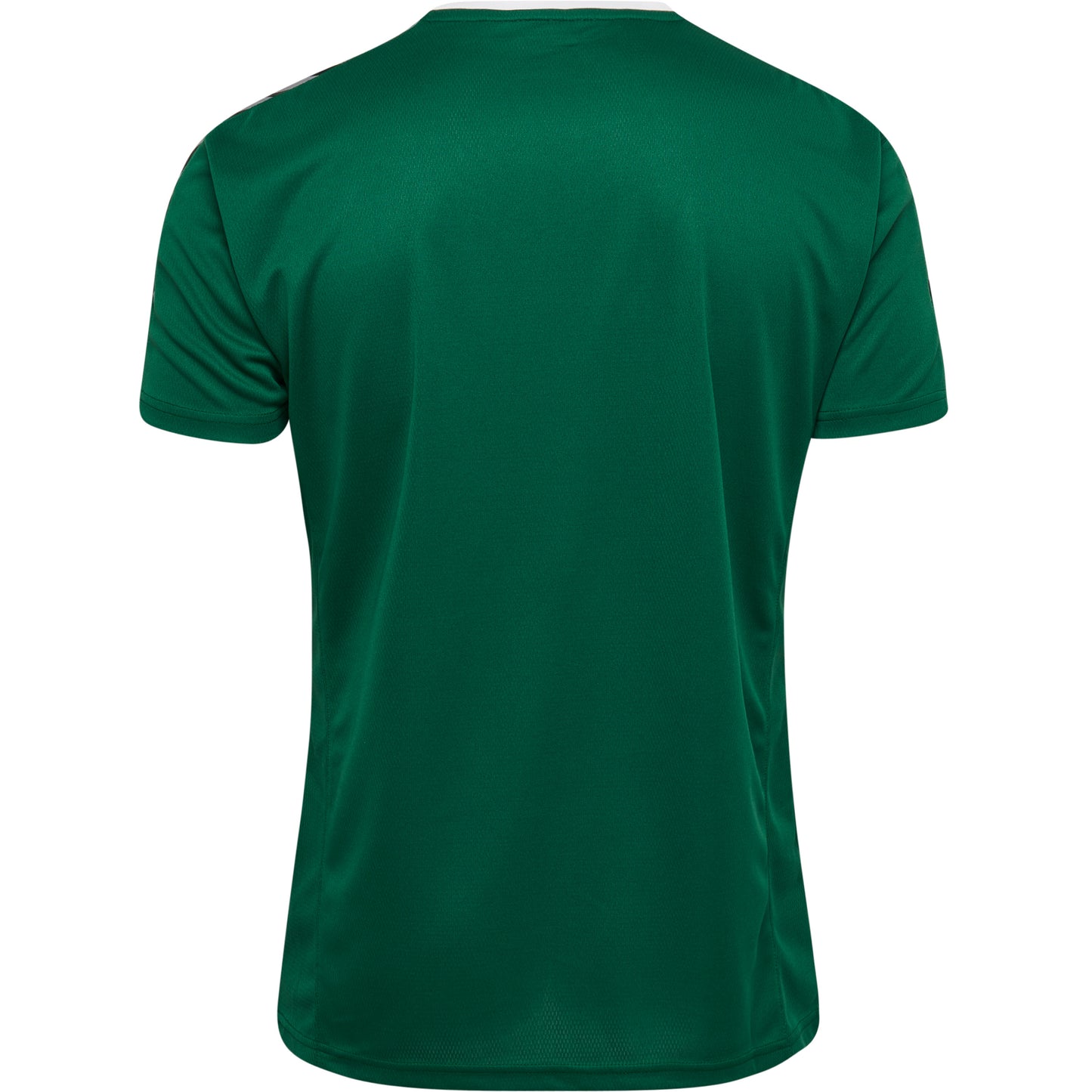 6140-EVERGREEN
