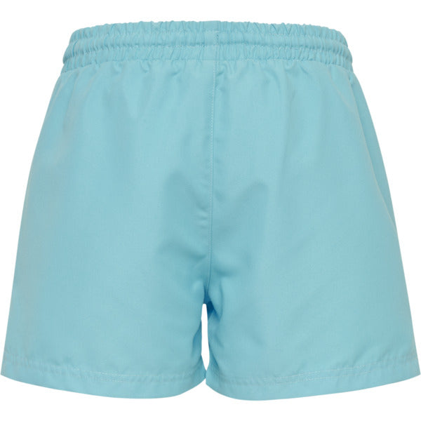 7966-BACHELOR BUTTON