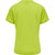5045-LIME POPSICLE