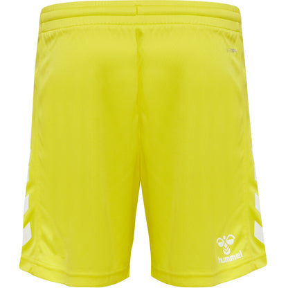 5269-BLAZING YELLOW