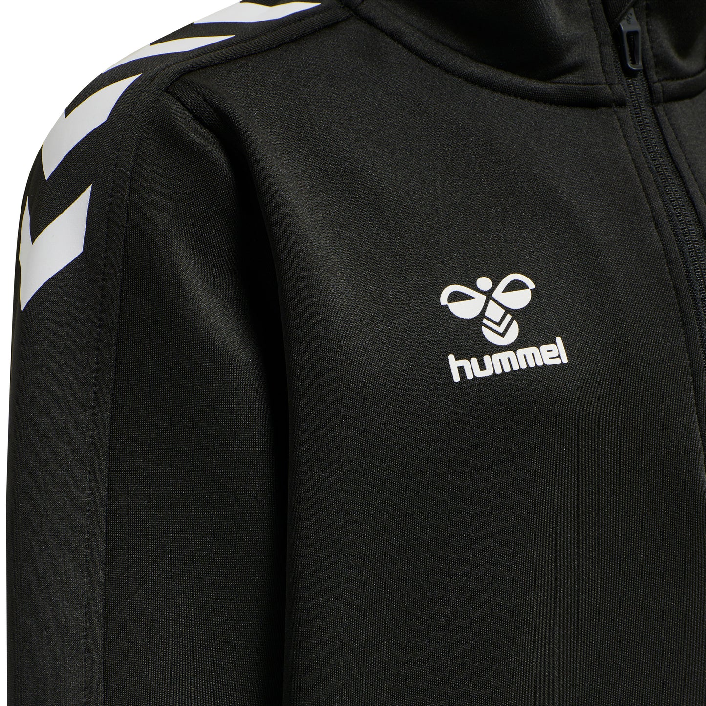 2001-BLACK