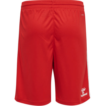 3062-TRUE RED