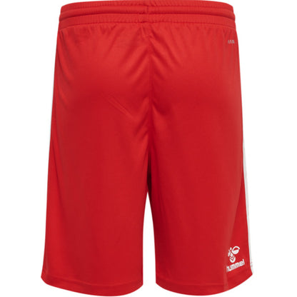 3062-TRUE RED