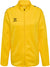 5001-SPORTS YELLOW