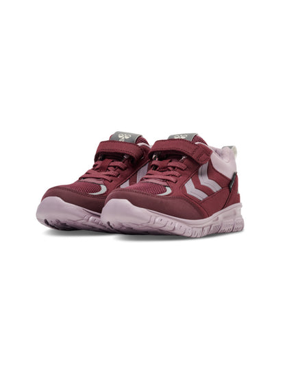 3679-CATAWBA GRAPE