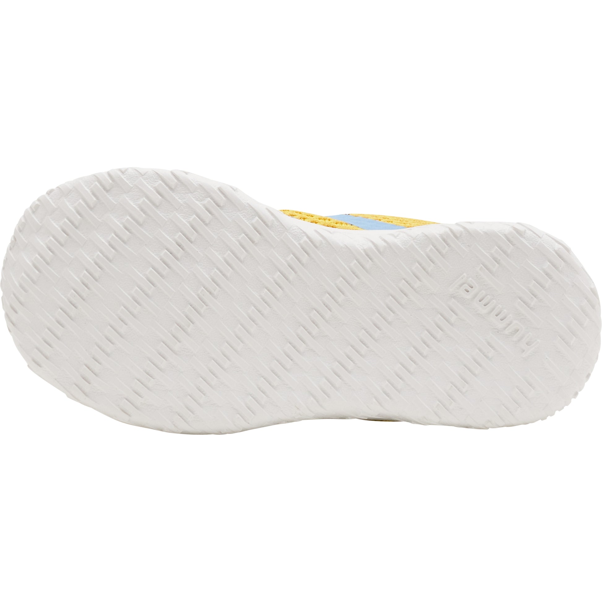 5096-MAIZE