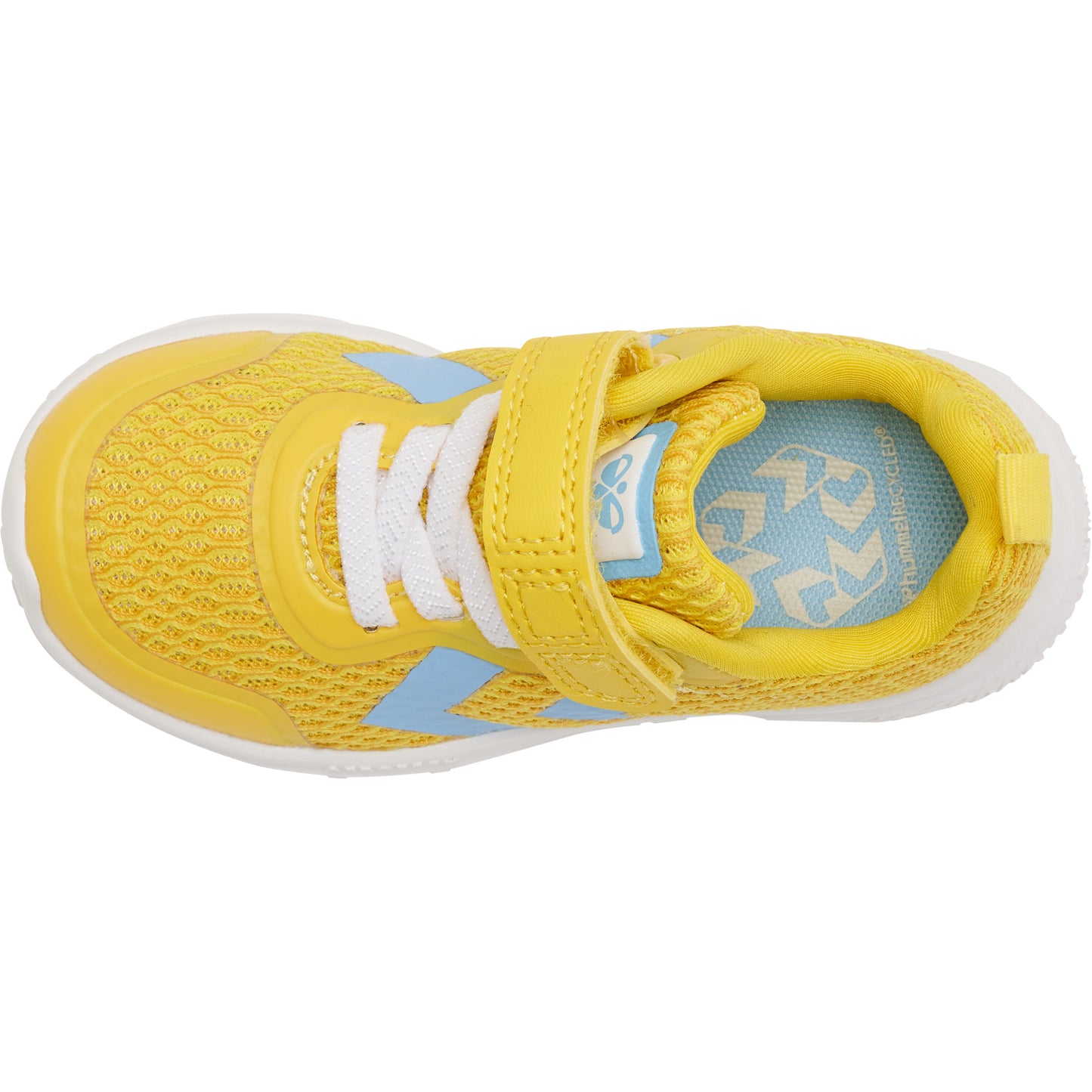 5096-MAIZE