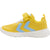 5096-MAIZE