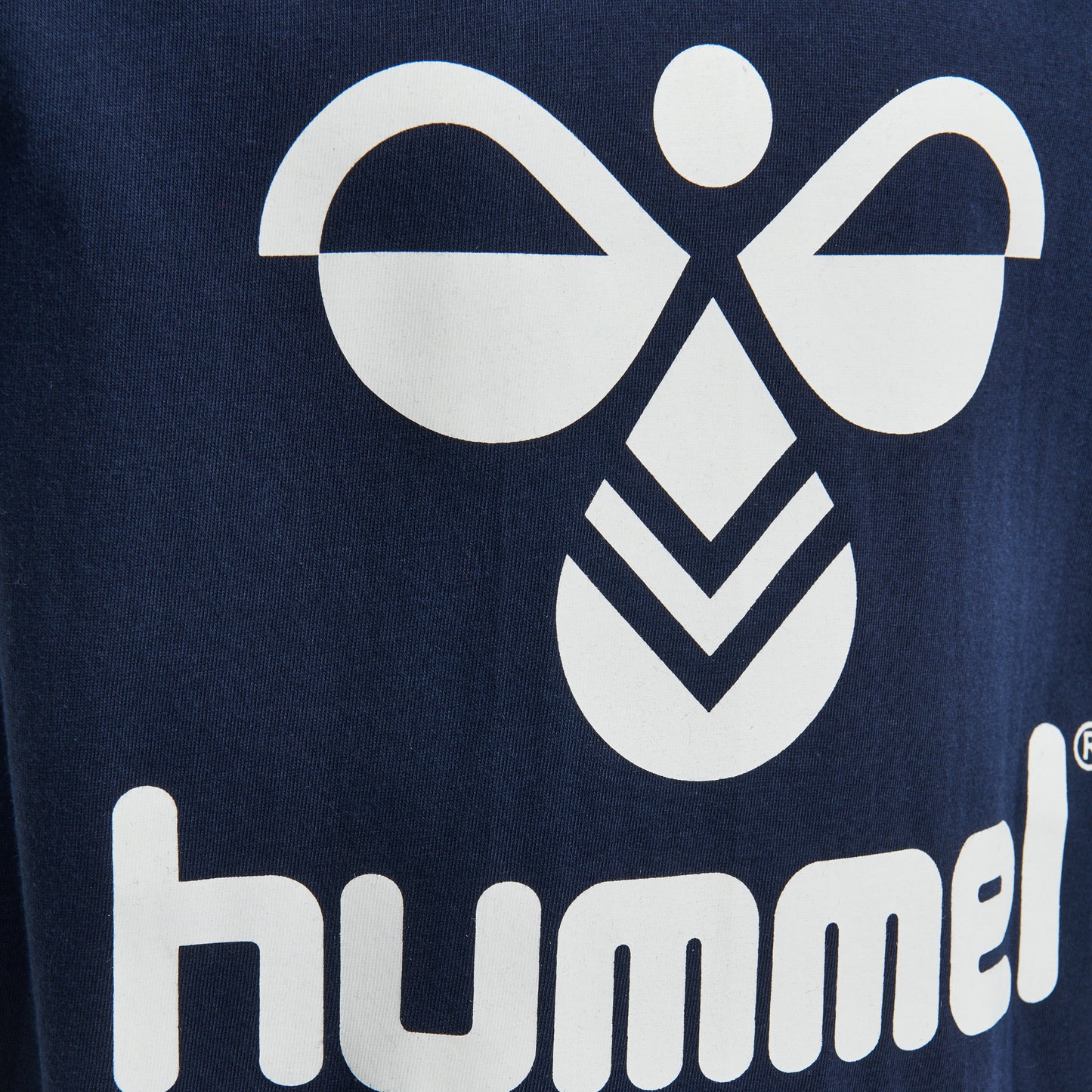 1009-BLACK IRIS
