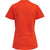 3164-CHERRY TOMATO