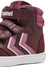 3404-TULIPWOOD