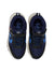 7379-DUTCH BLUE