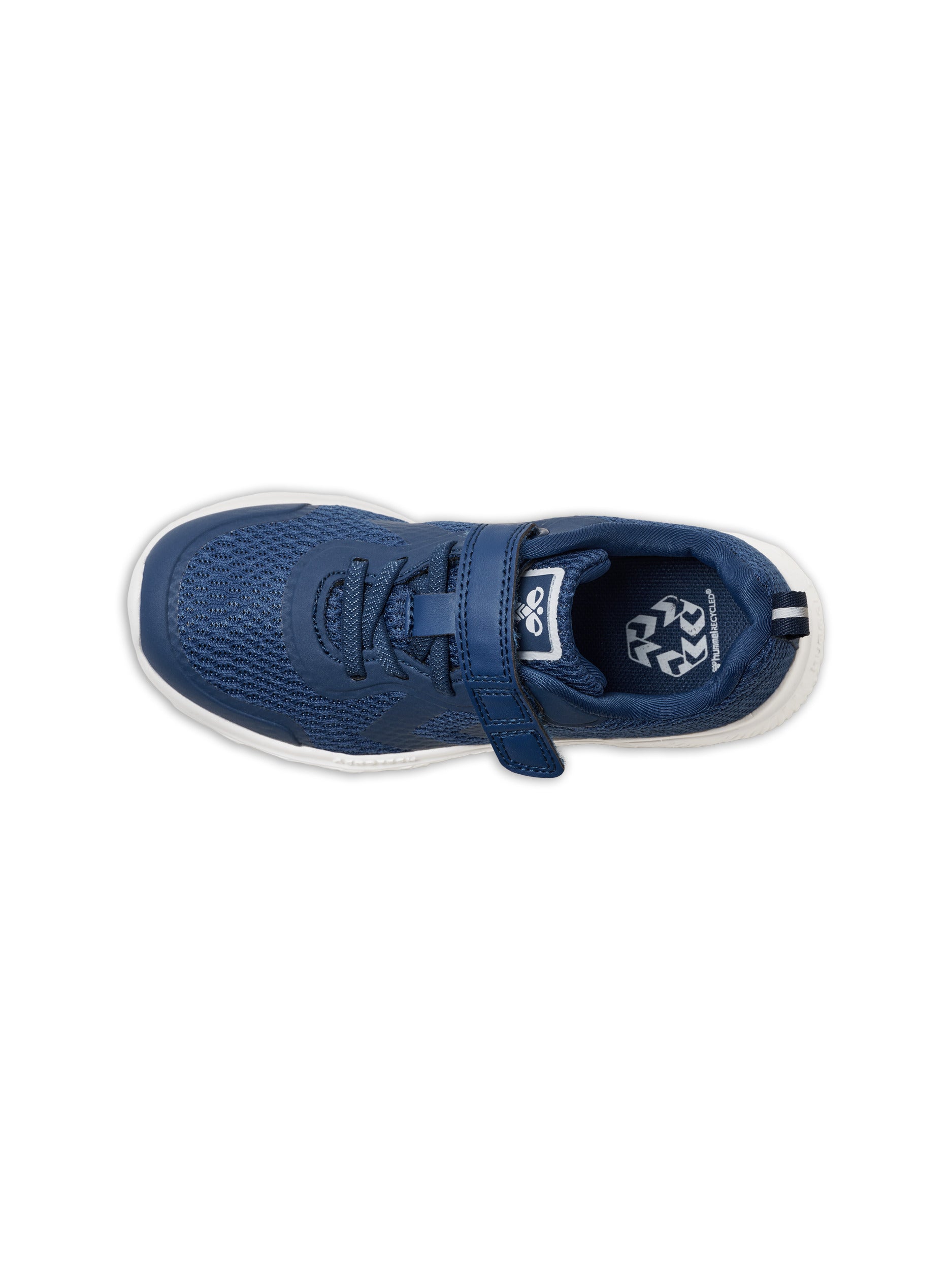 7017-NAVY PEONY