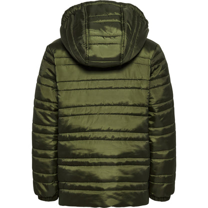 6453-OLIVE NIGHT