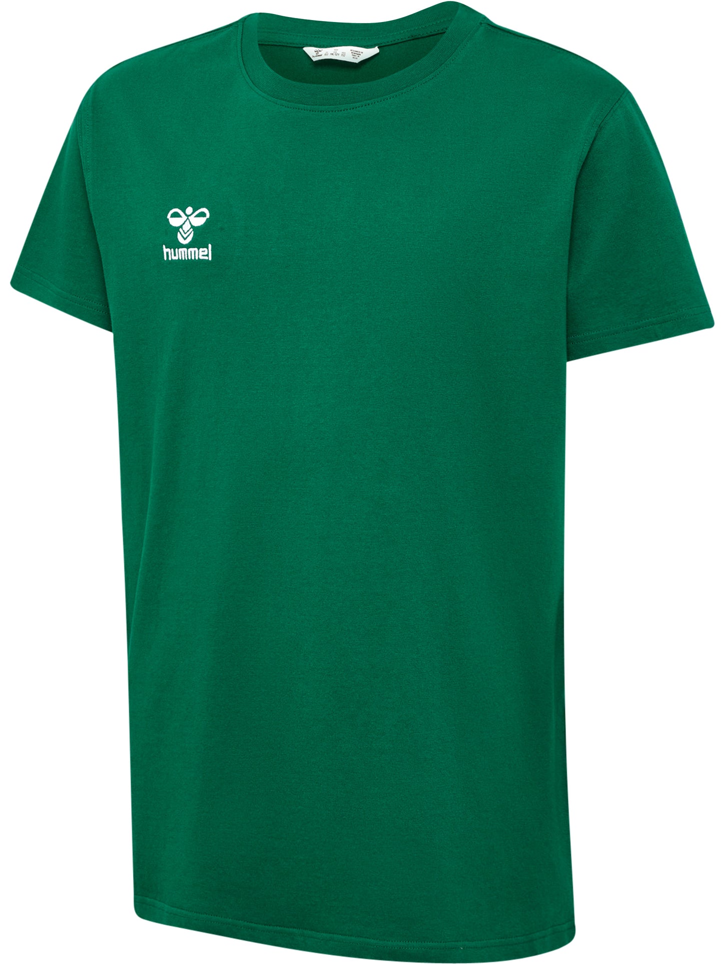 6140-EVERGREEN