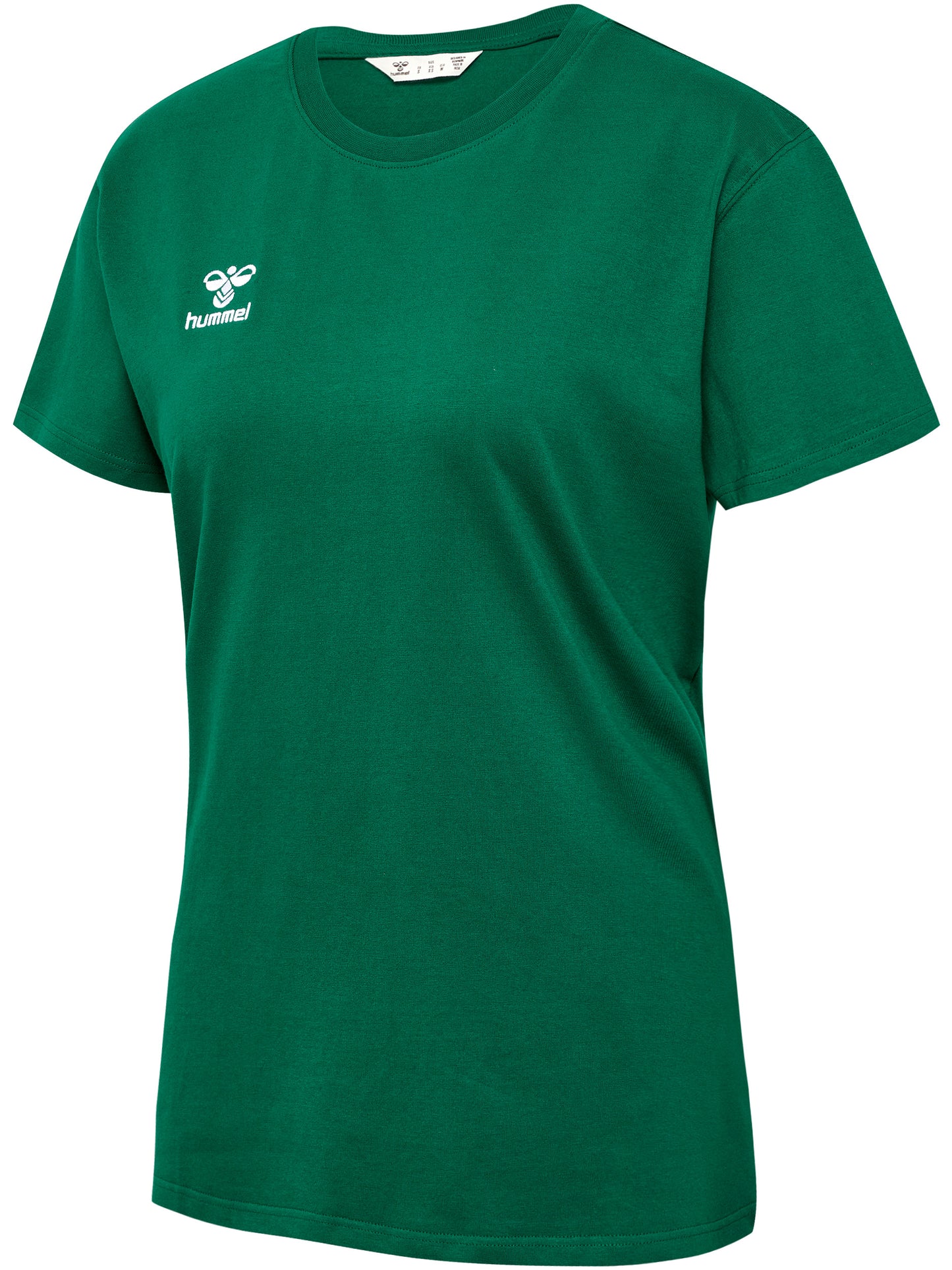 6140-EVERGREEN