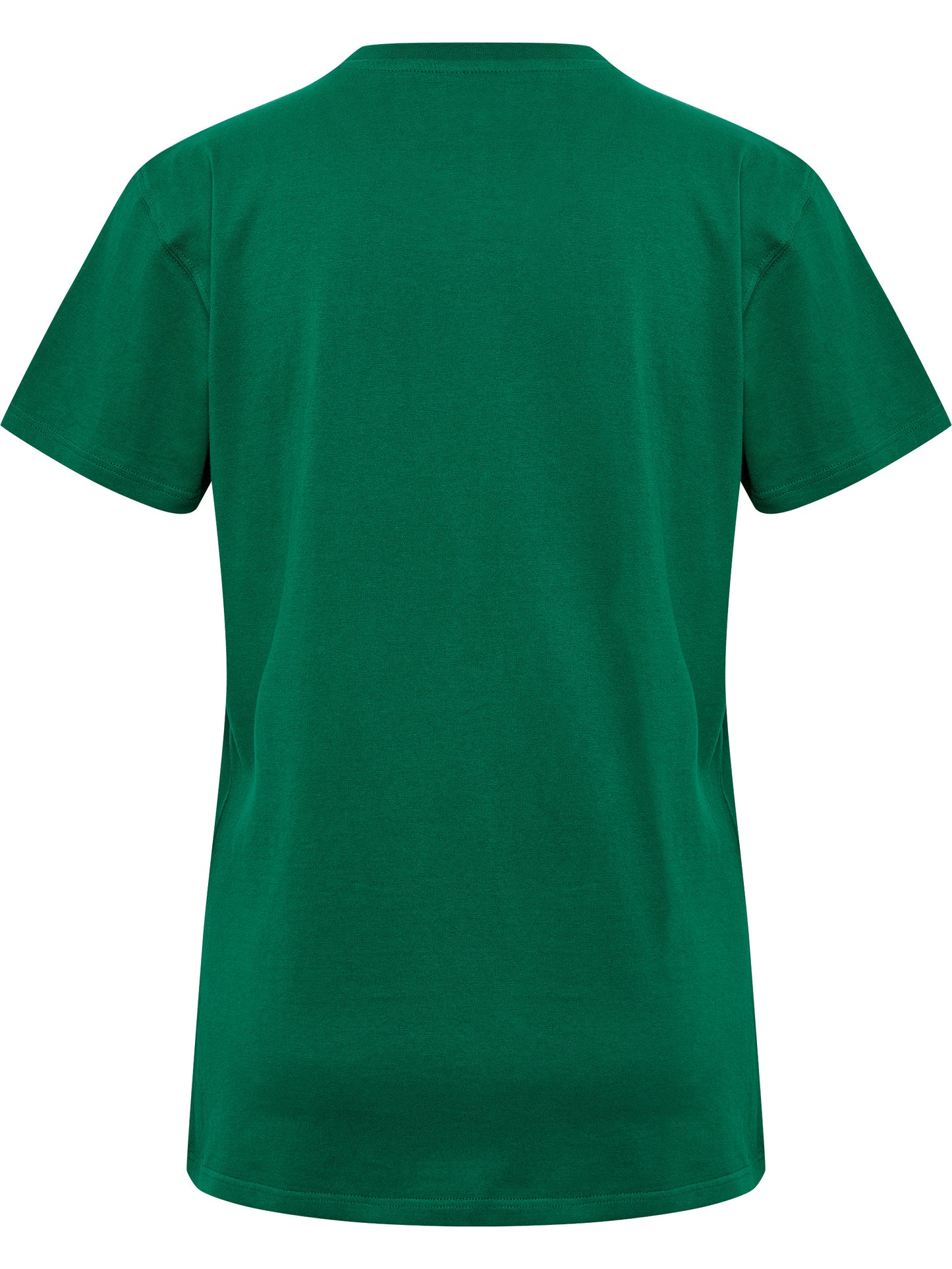 6140-EVERGREEN