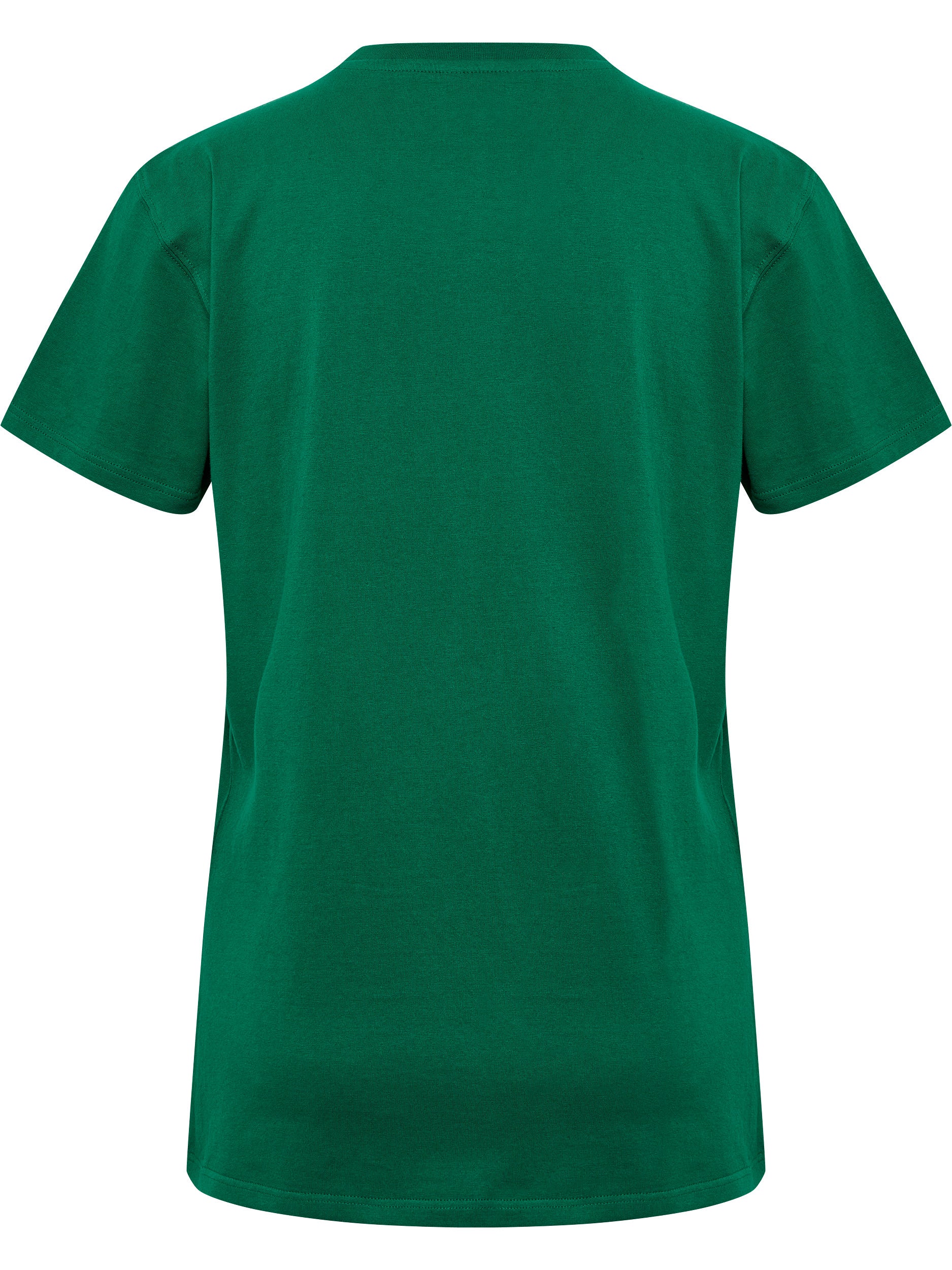 6140-EVERGREEN