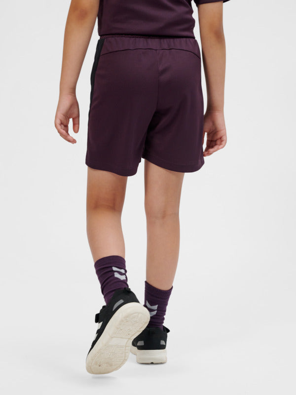 4073-PLUM PERFECT