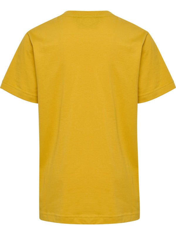 4425-GOLDEN SPICE