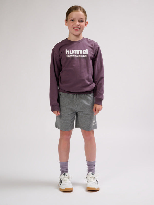 8156-HUCKLEBERRY