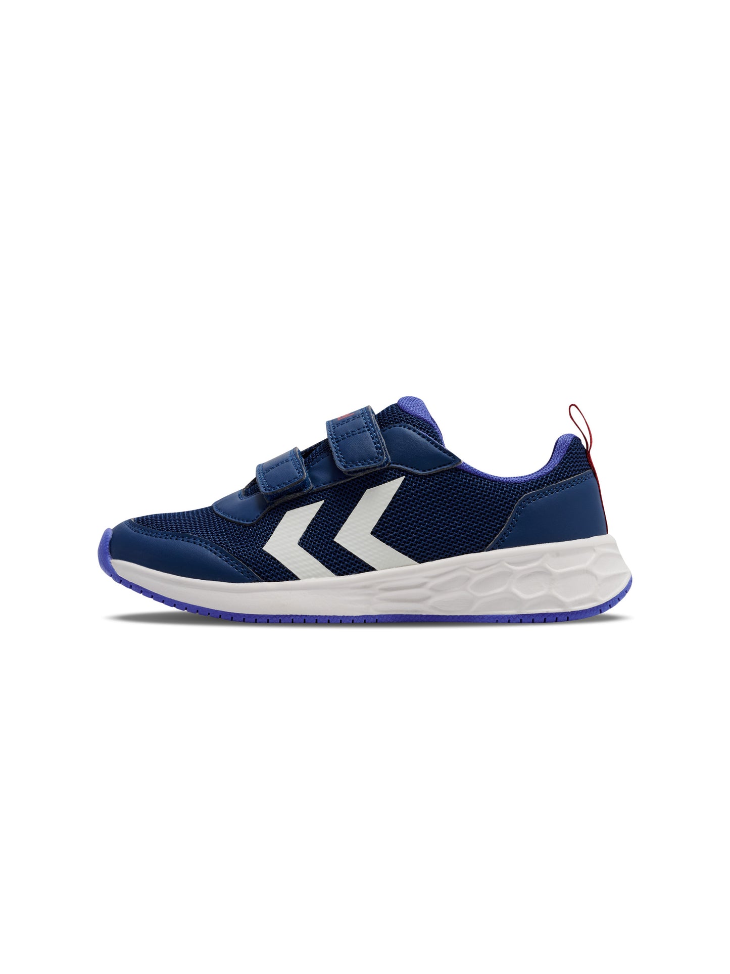 7017-NAVY PEONY