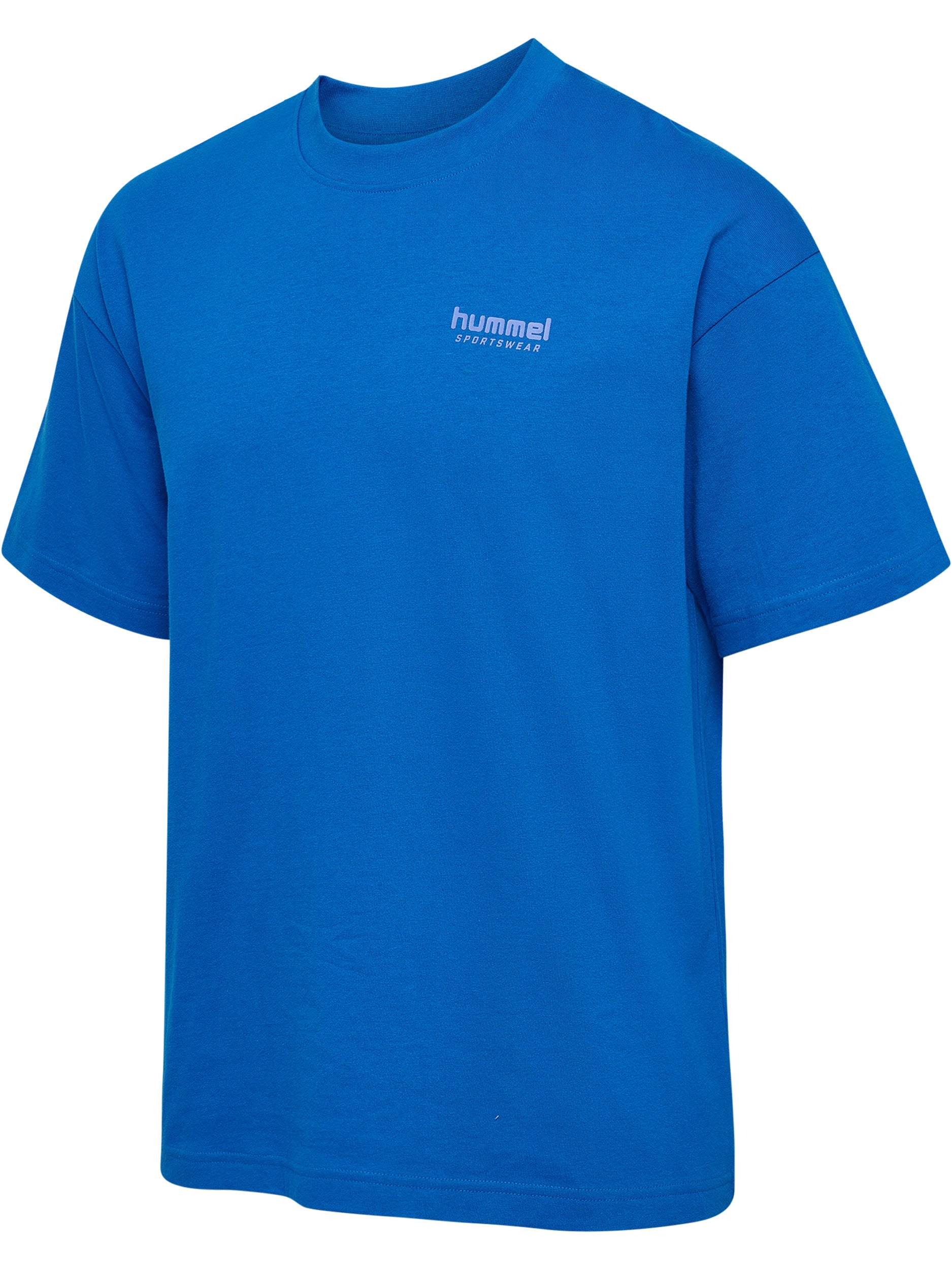 8650-SKYDIVER