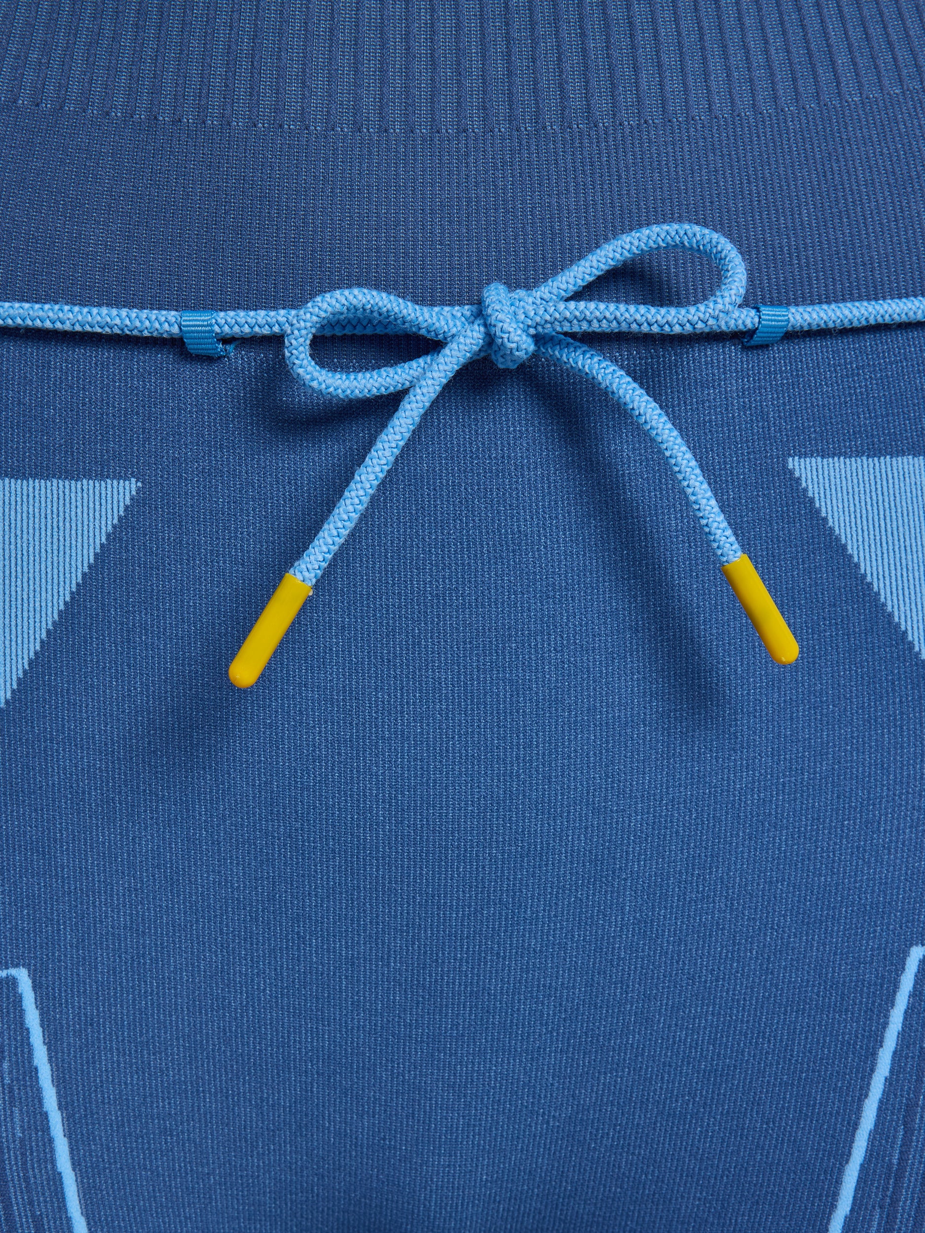 7379-DUTCH BLUE
