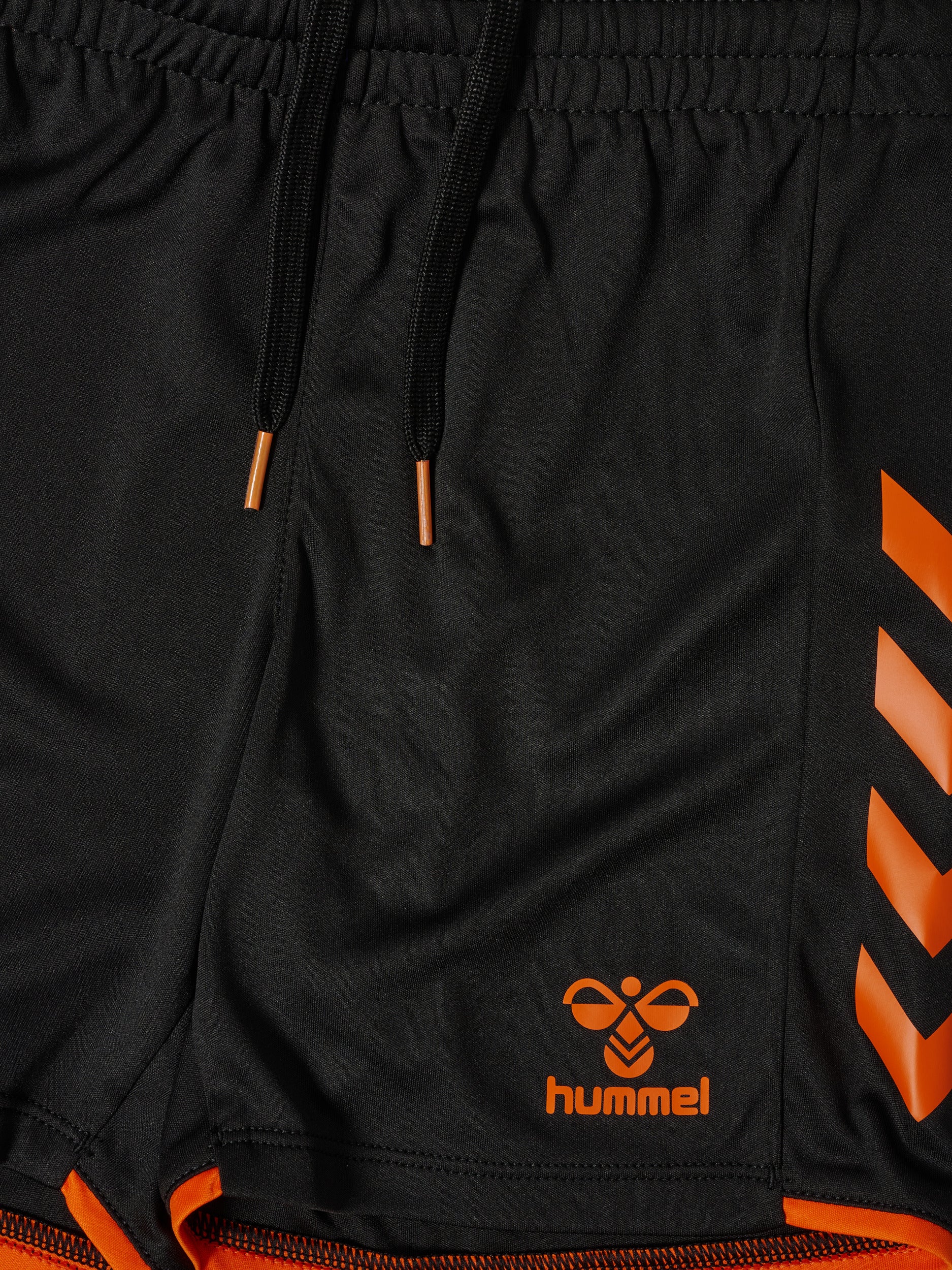 2461-BLACK/ORANGE TIGER
