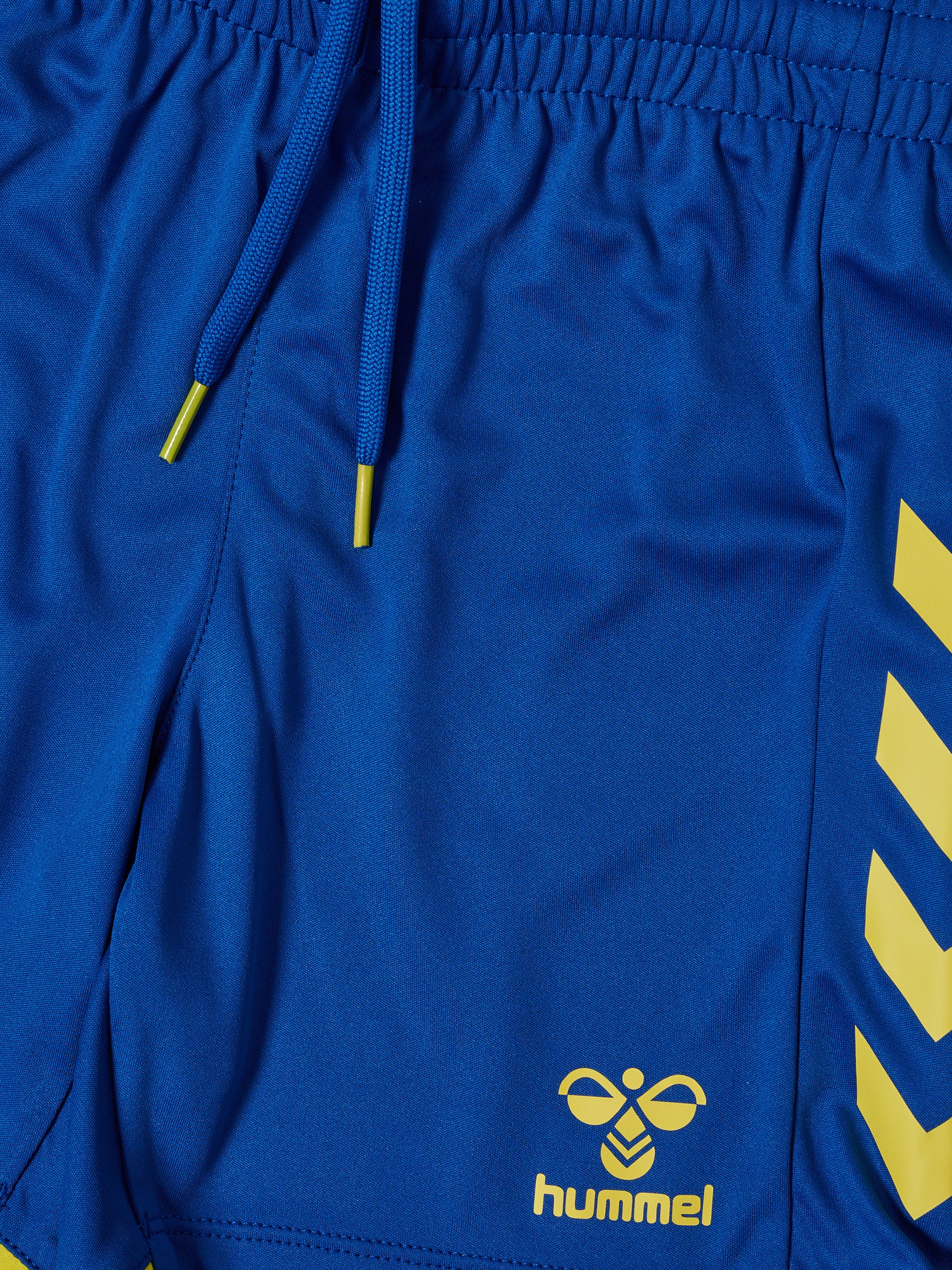 8606-TRUE BLUE/BLAZING YELLOW