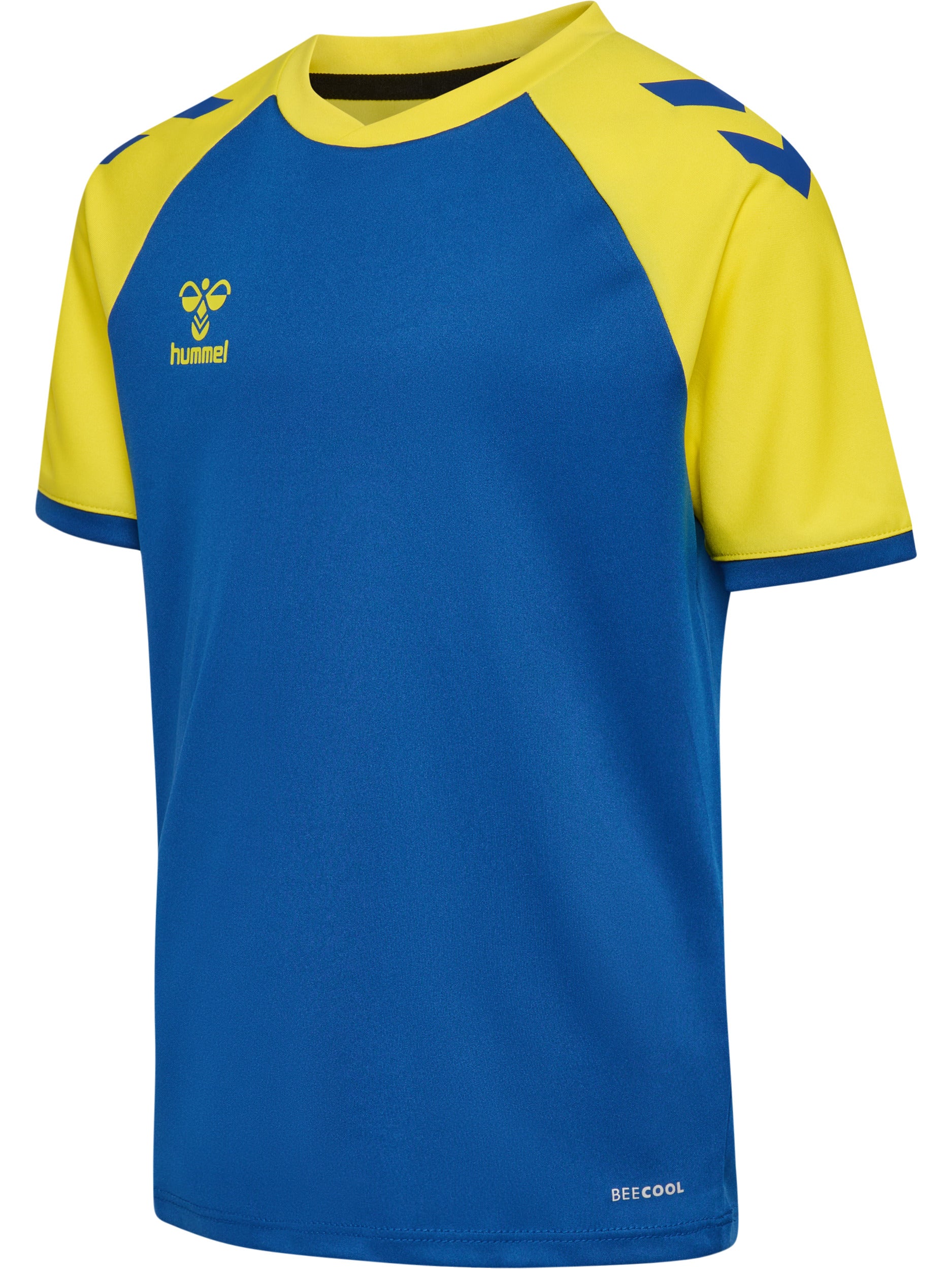 8606-TRUE BLUE/BLAZING YELLOW