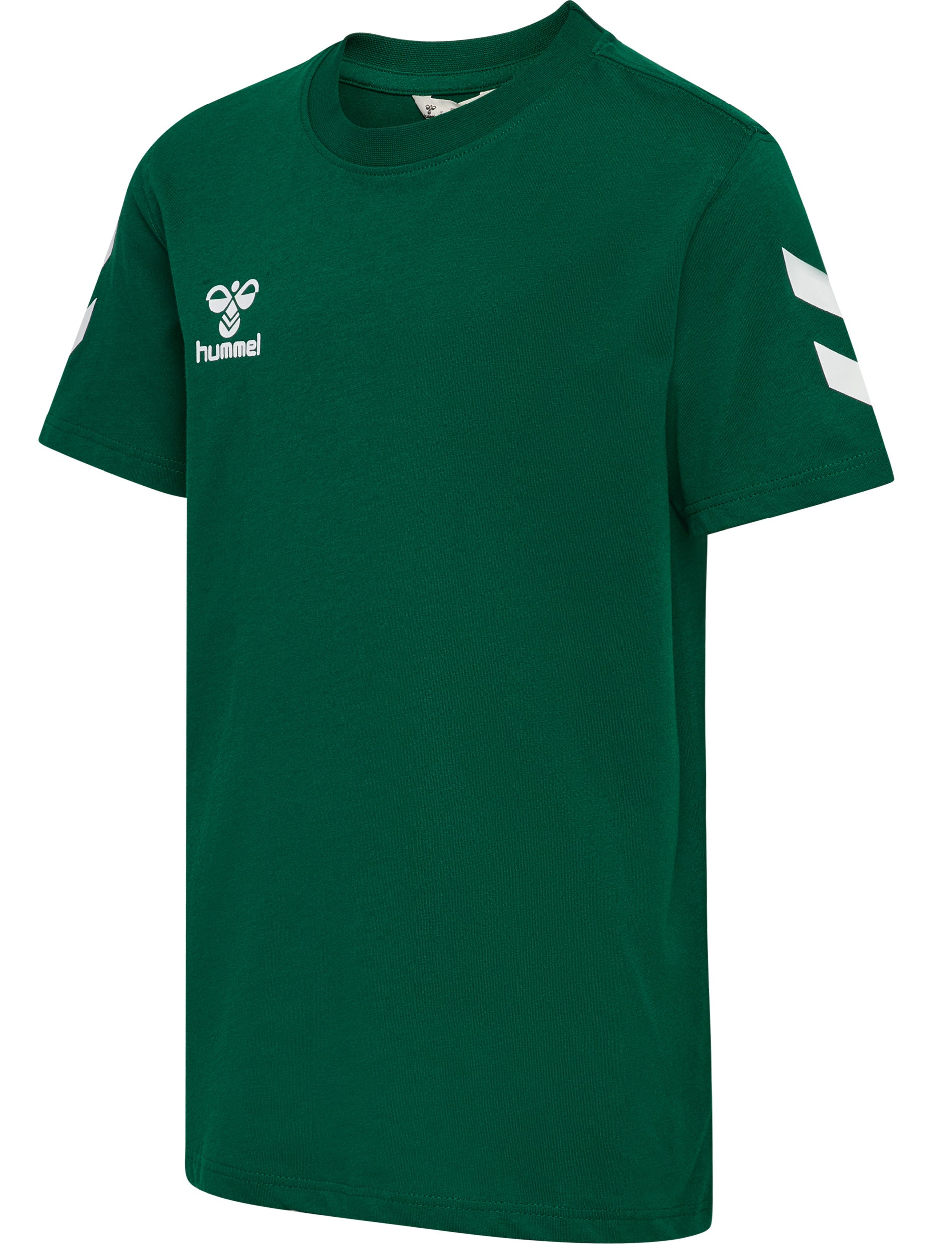6140-EVERGREEN
