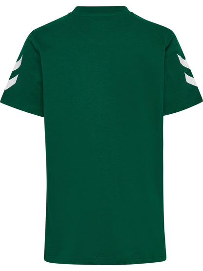 6140-EVERGREEN