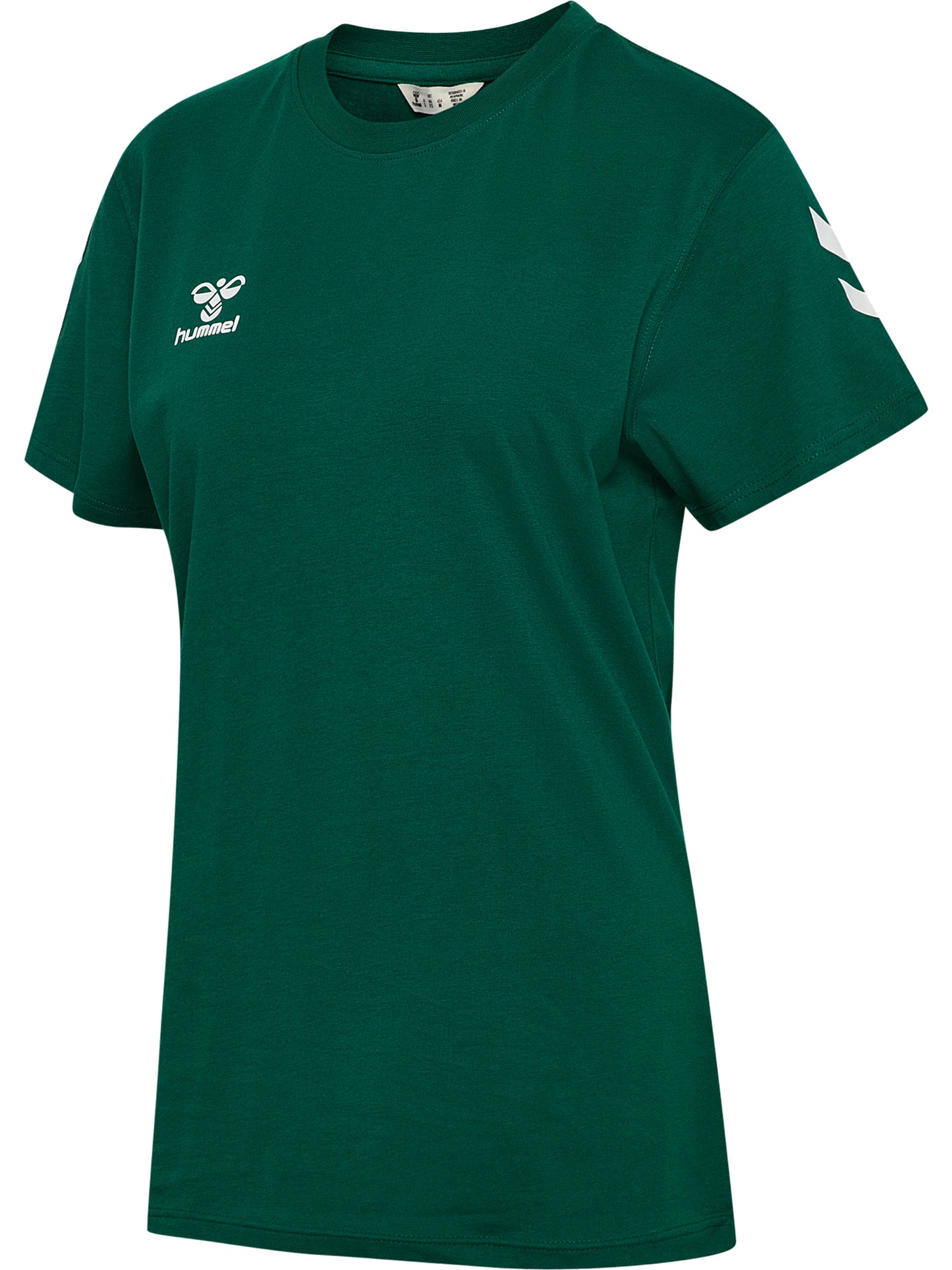 6140-EVERGREEN