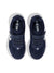 1009-BLACK IRIS