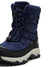 1009-BLACK IRIS