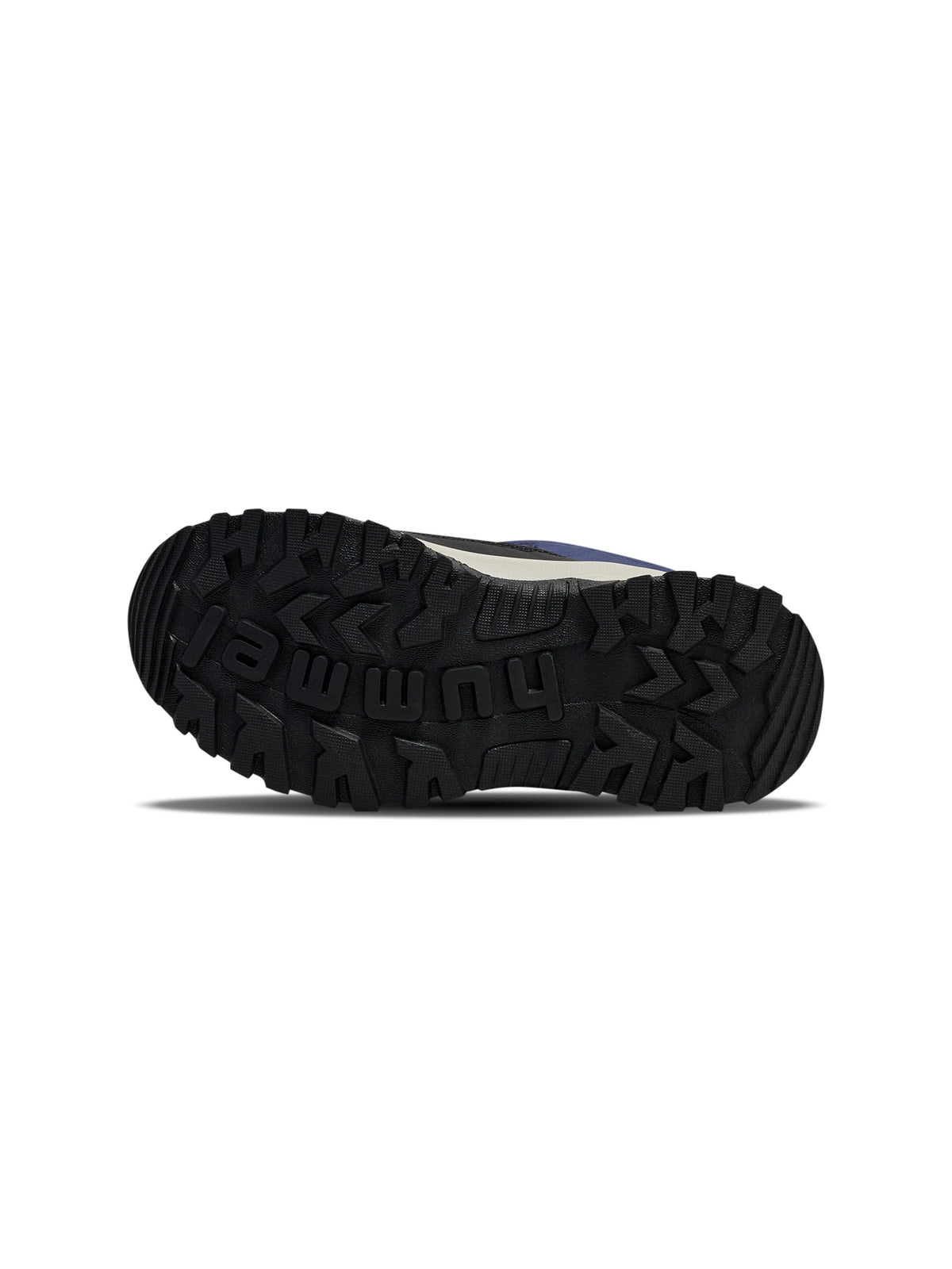1009-BLACK IRIS