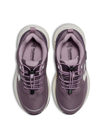 CREEK LOW TEX JR – CATAWBA GRAPE/ELDERBERRY