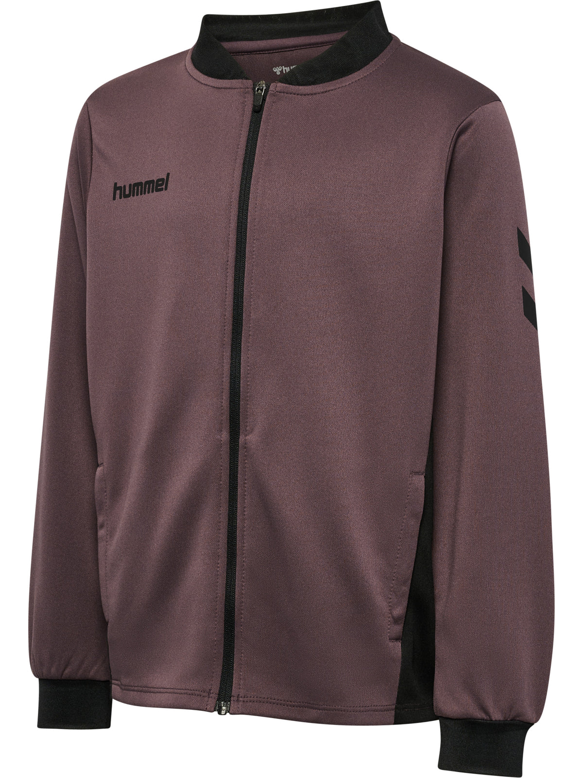 8156-HUCKLEBERRY