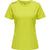 6102-EVENING PRIMROSE