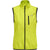 6102-EVENING PRIMROSE