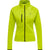 6102-EVENING PRIMROSE