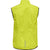 6102-EVENING PRIMROSE