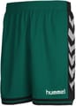 HUMMEL SIRIUS SHORTS EVERGREEN/BLACK