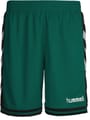 HUMMEL SIRIUS SHORTS EVERGREEN/BLACK